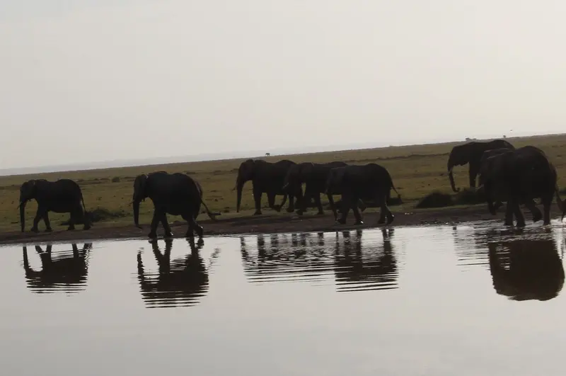Lake Amboseli