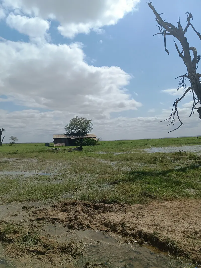 Enkongo Narok Swamp
