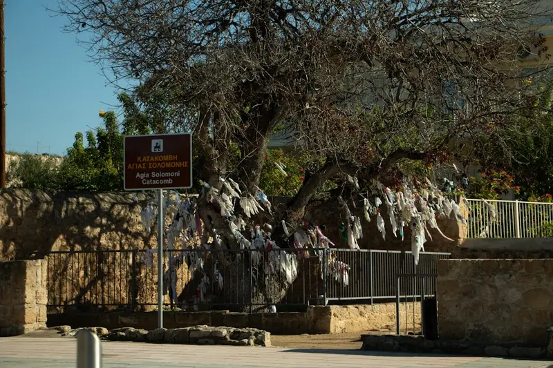Moholoholo Wildlife Rehabilitation Centre