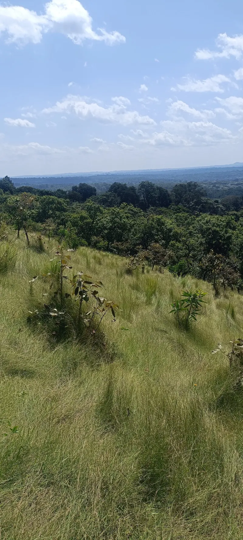 Lirhanda Hill