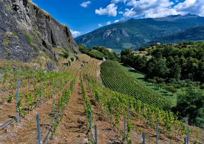 Wallis