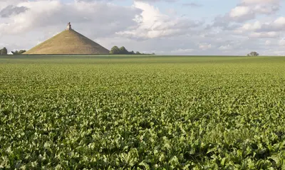 Waterloo
