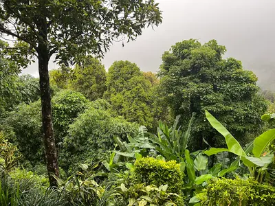 Munduk