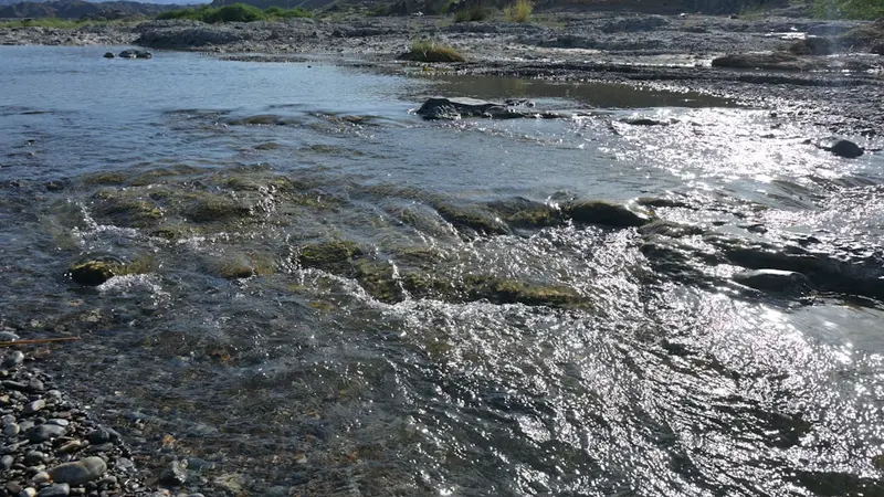 Auob und Nossob Flussbetten