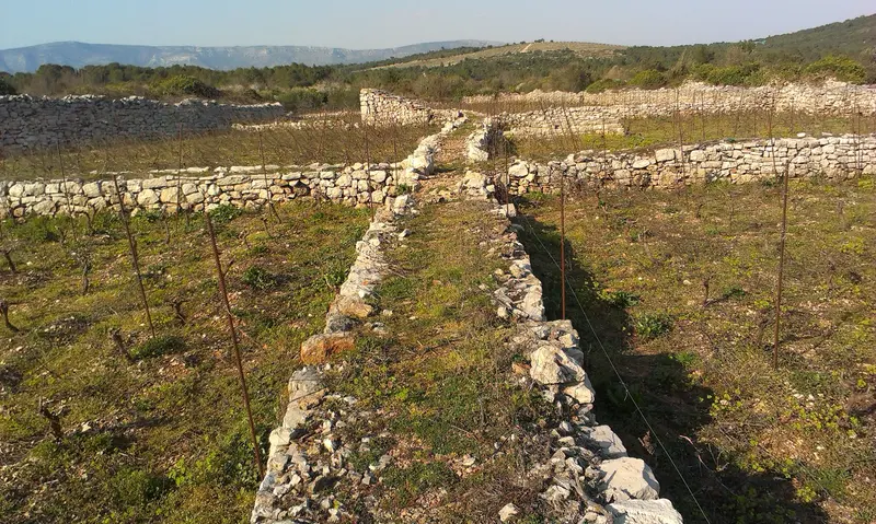 Plain of Stari Grad