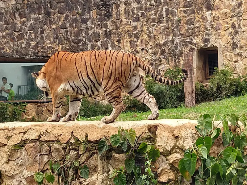 Zoológico de Cali
