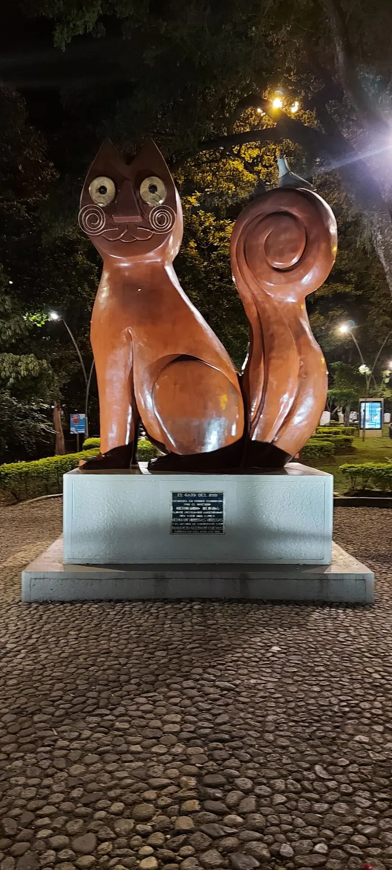 El Gato del Río