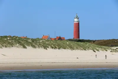 Texel