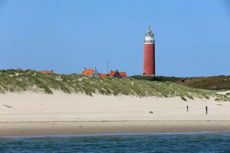 Texel