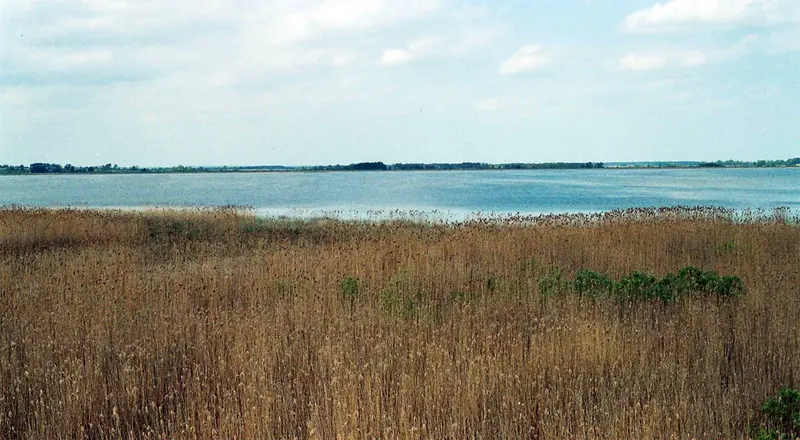 Łuknajno Lake Nature Reserve