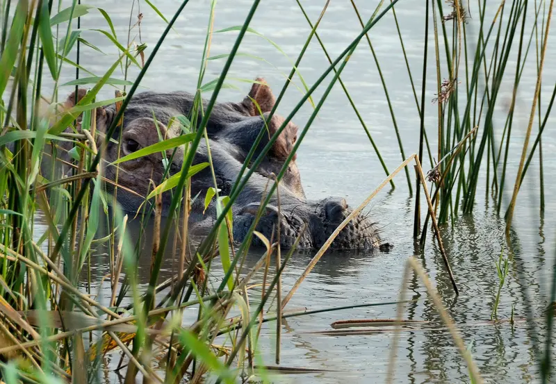 iSimangaliso-Wetland-Park