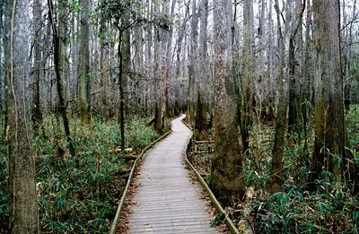 South Carolina