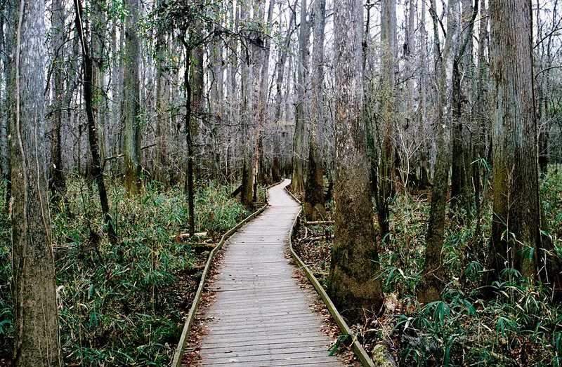 South Carolina