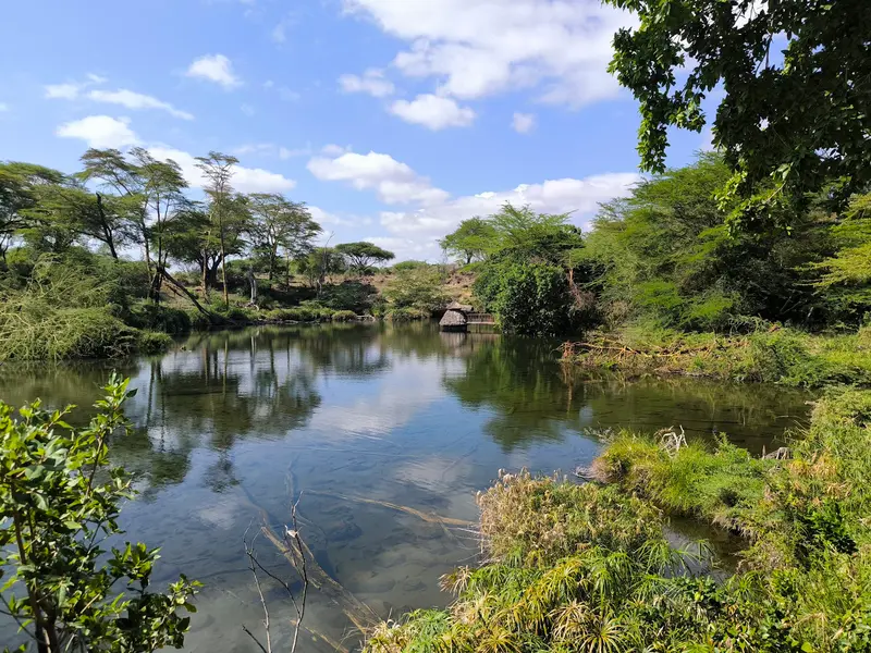 Mzima Springs