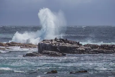 Hole in the Wall
