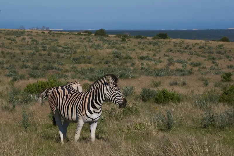 Waterberg Biosphere Reserve