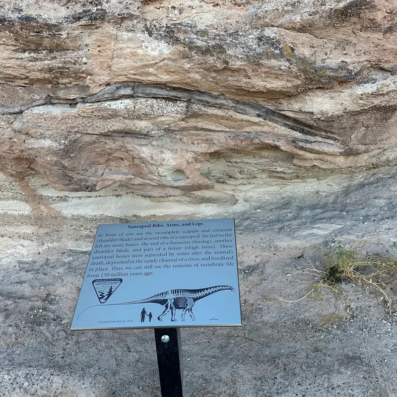 Mill Canyon Dinosaur Trails