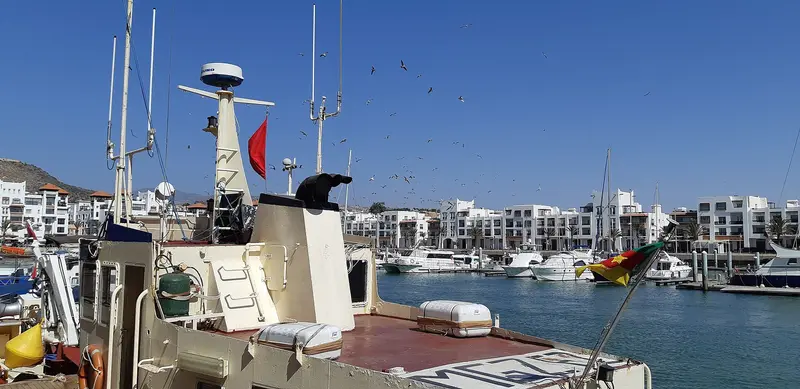 Marina Agadir