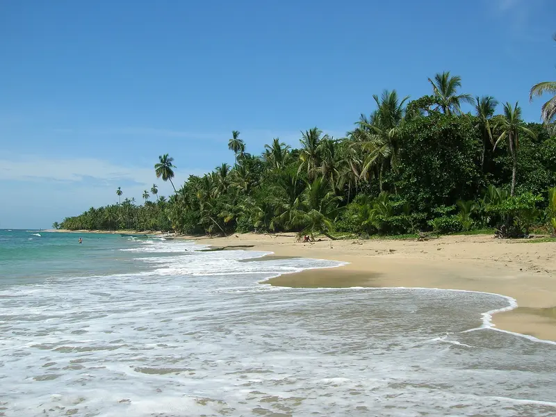 Punta Uva