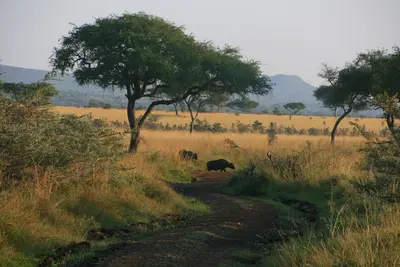 Ruma-Nationalpark