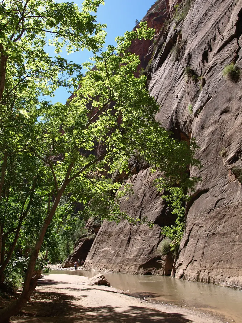 The Narrows