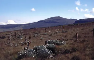 Mount Kenya, Laikipia & Samburu