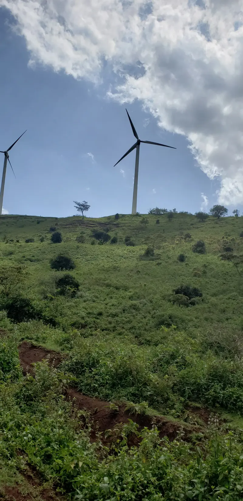 Kona Baridi