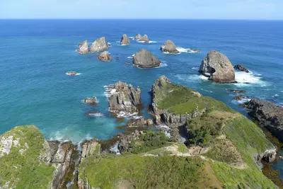 The Catlins