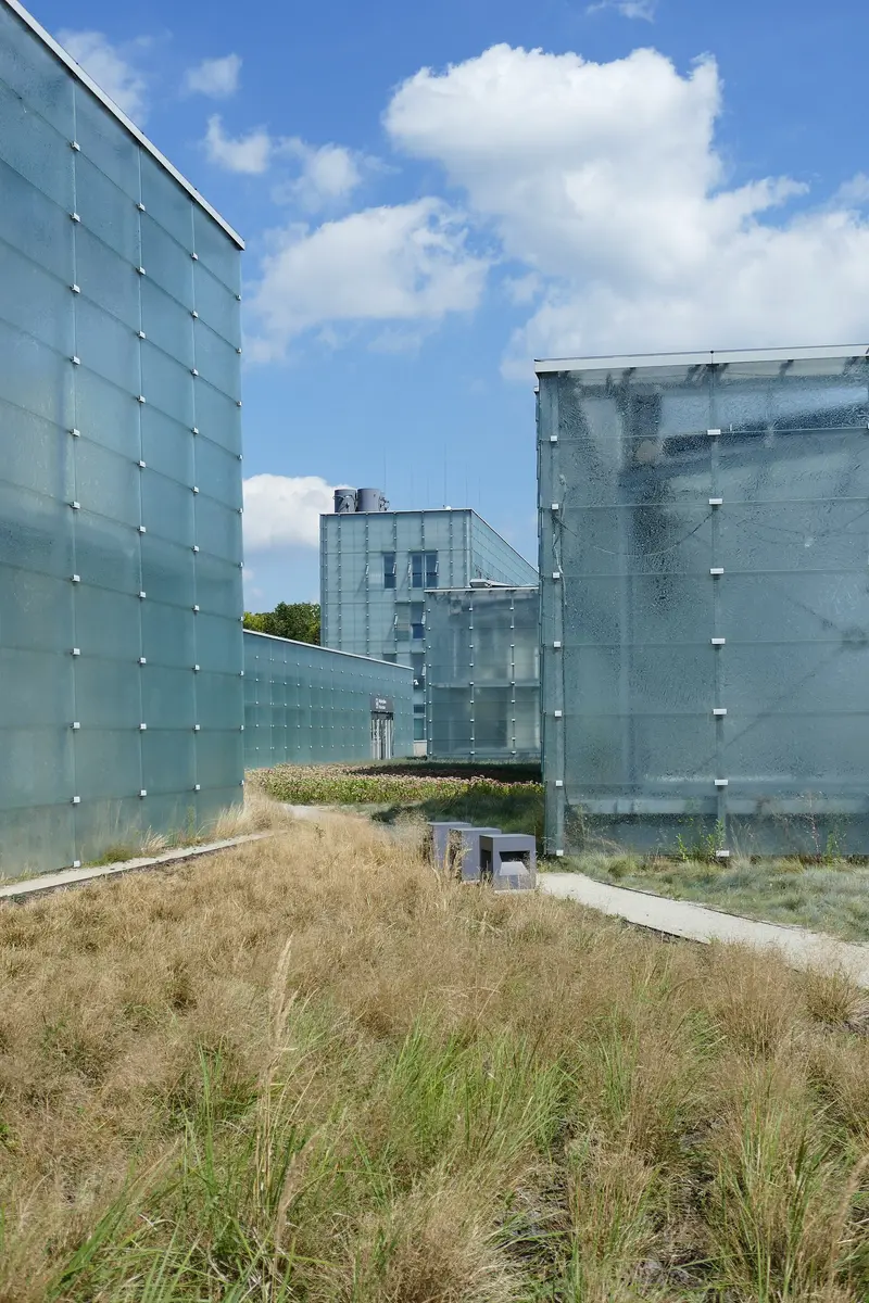 Silesian Museum (Muzeum Śląskie)