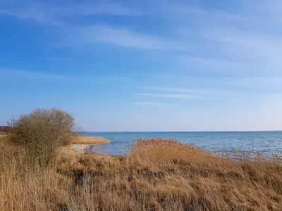 Müritz National Park