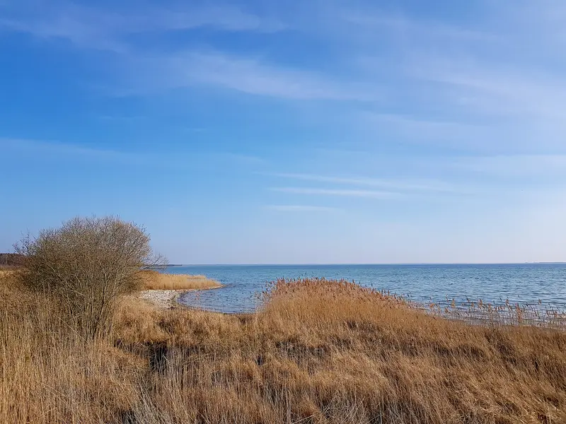 Müritz-Nationalpark