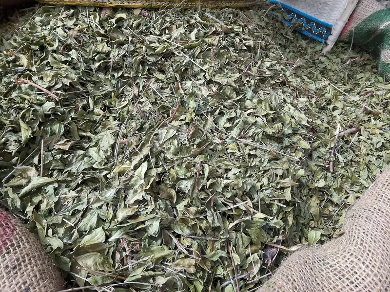 Souk Jara