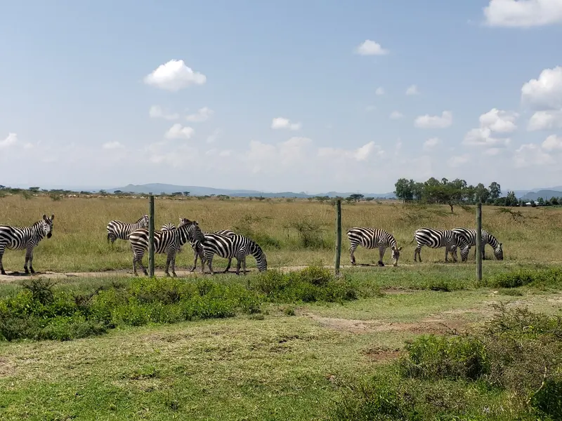 Soysambu Conservancy