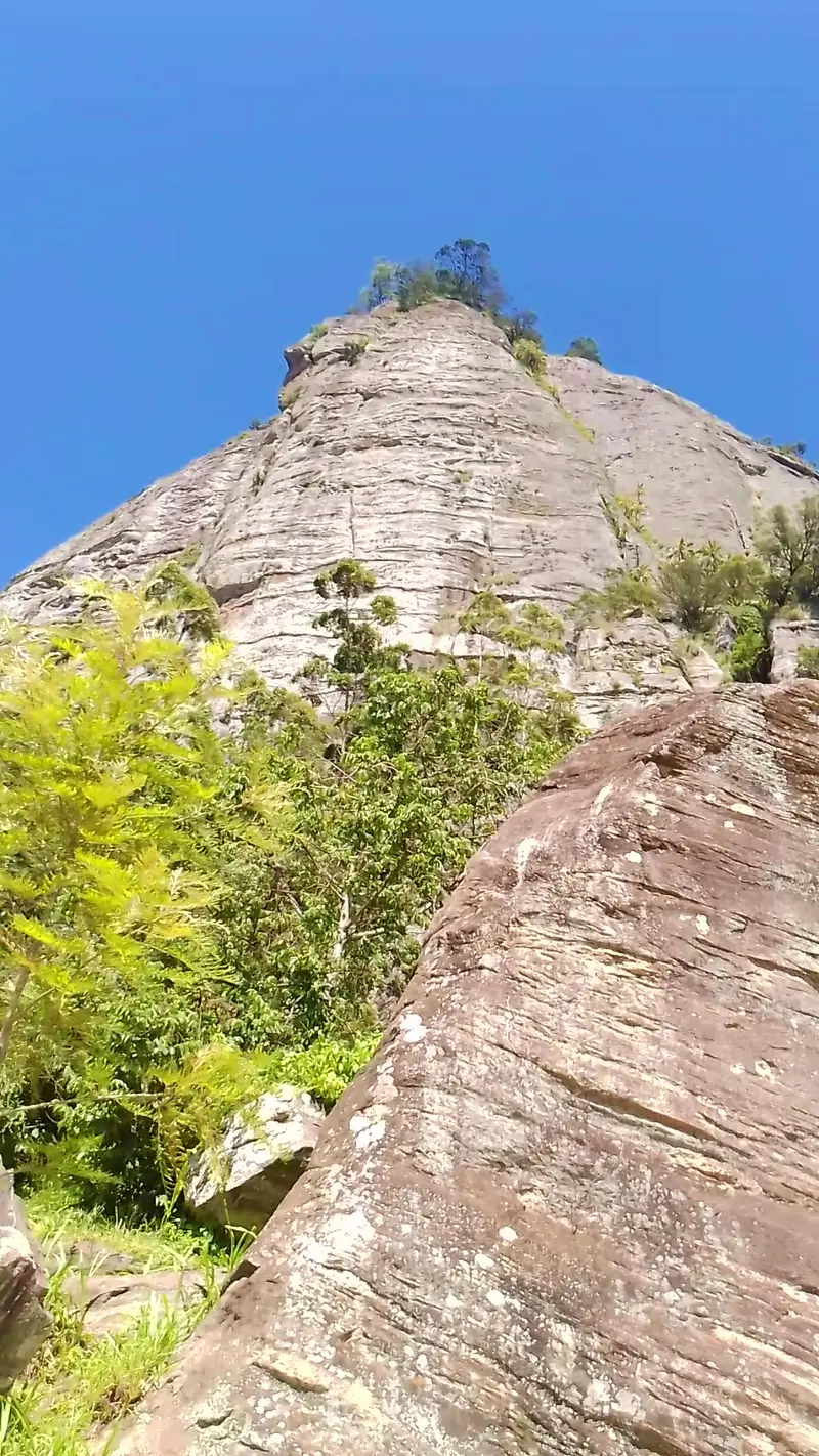 Taita Hills
