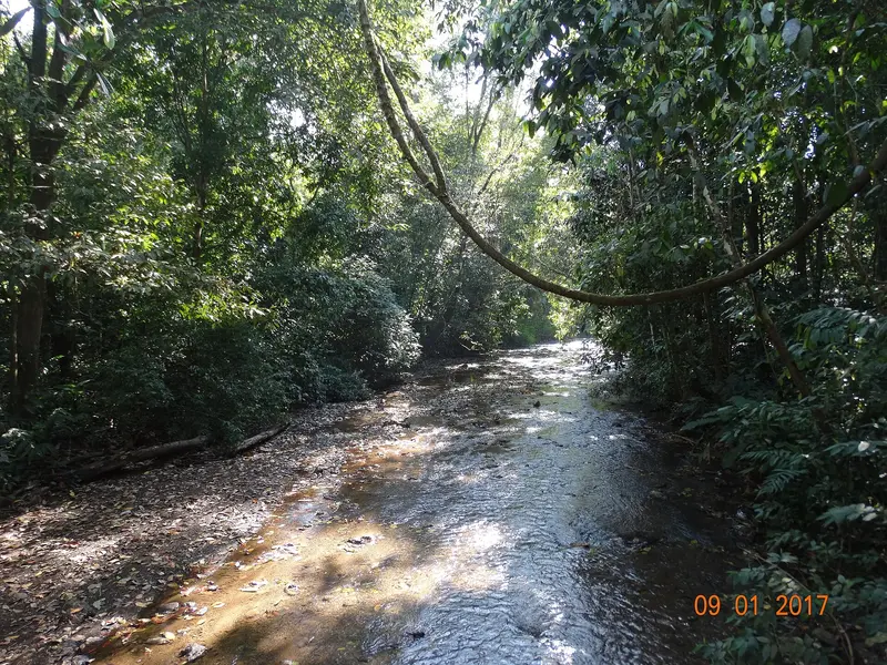 Carara National Park