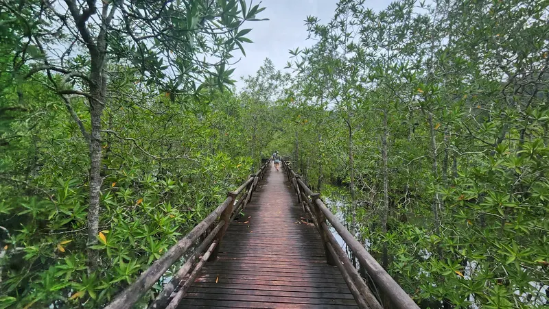Parque Nacional Natural Utría