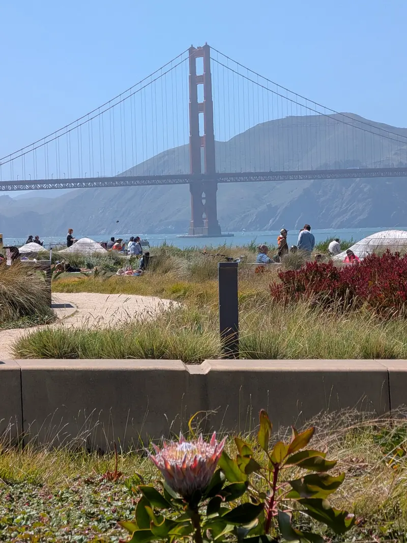 Presidio Tunnel Tops