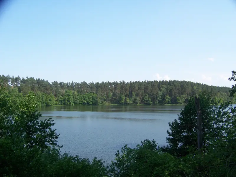 Drawieński-Nationalpark