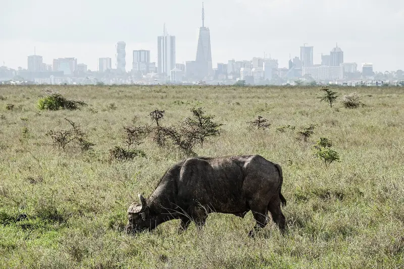 Nairobi National Park