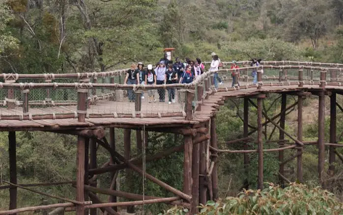 Nairobi Safari Walk
