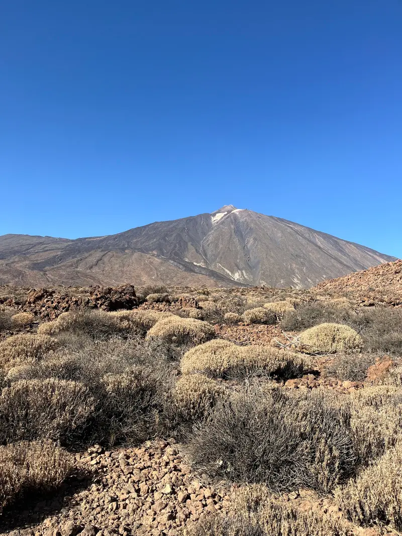Pico del Teide