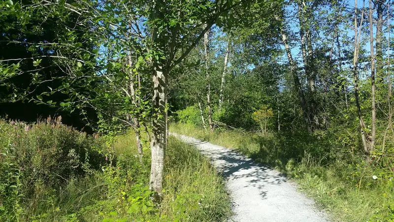 Dassie Nature Trail