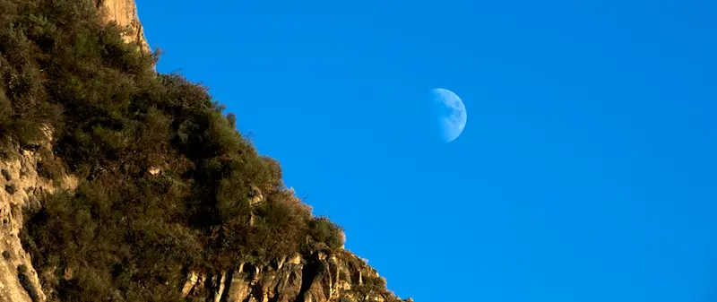 Moon Rock