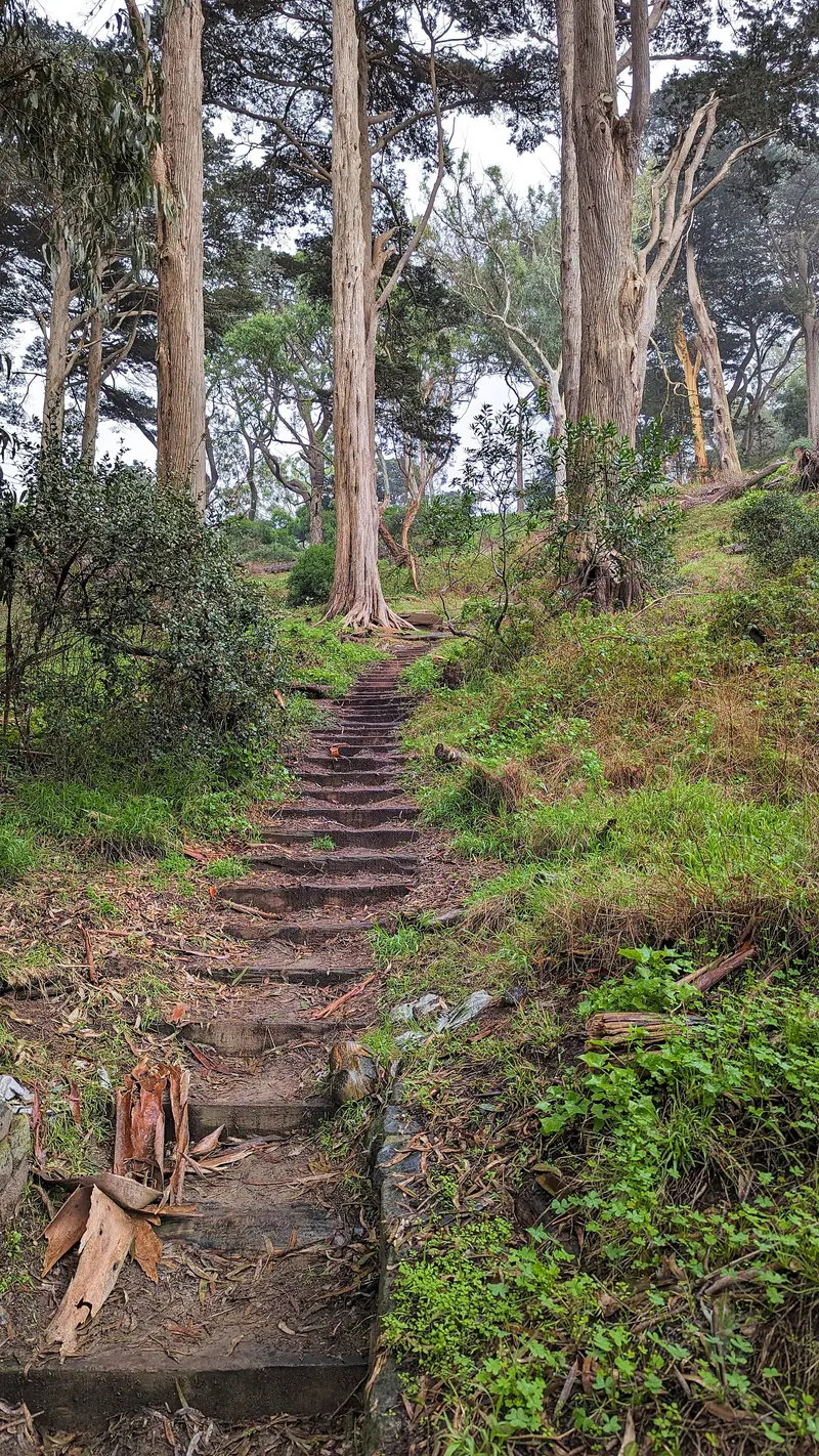Buena Vista Park