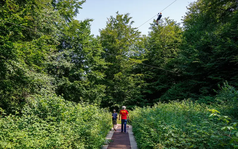 Camp Adventure