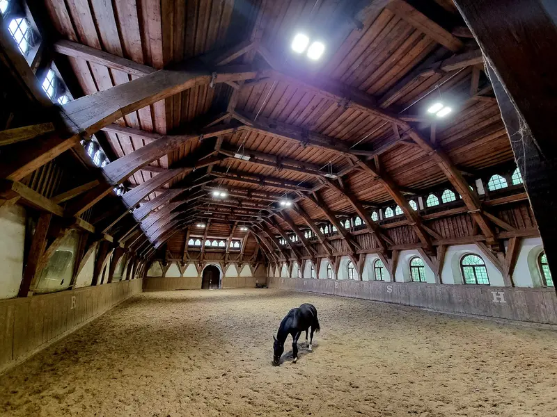 Książ Stud Farm (Stado Ogierów)