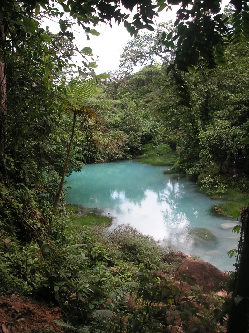 Los Teñideros