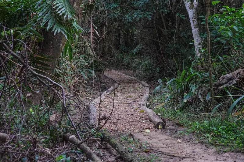 Bokke Nature Trail