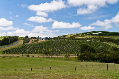 Waiheke Island