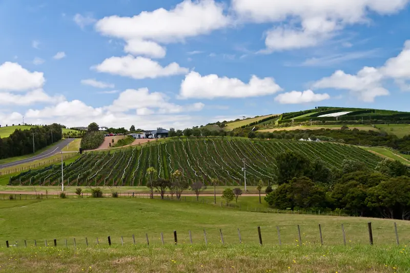 Waiheke Island